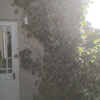 Img 20211004 Wa0036