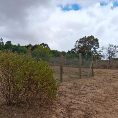 Sas Fence 103