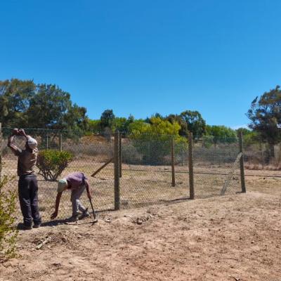Sas Fence 6